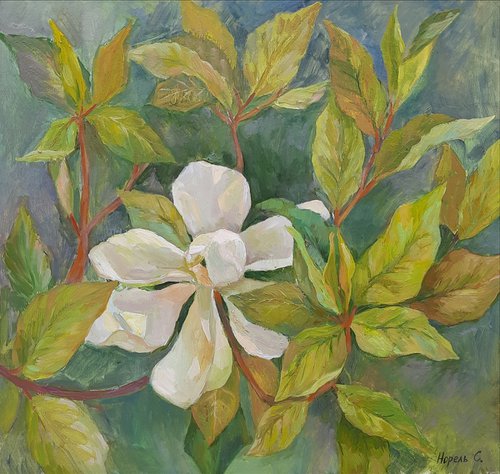 "Magnolia" - Original oil painting (2021) by Svetlana Norel