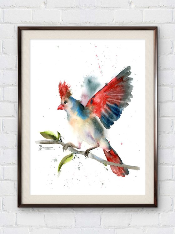 Desert cardinal