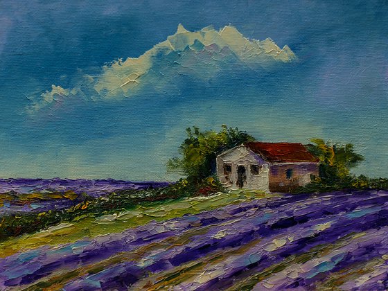 Small house in lavander fields. Croatian view. Croatian landscape