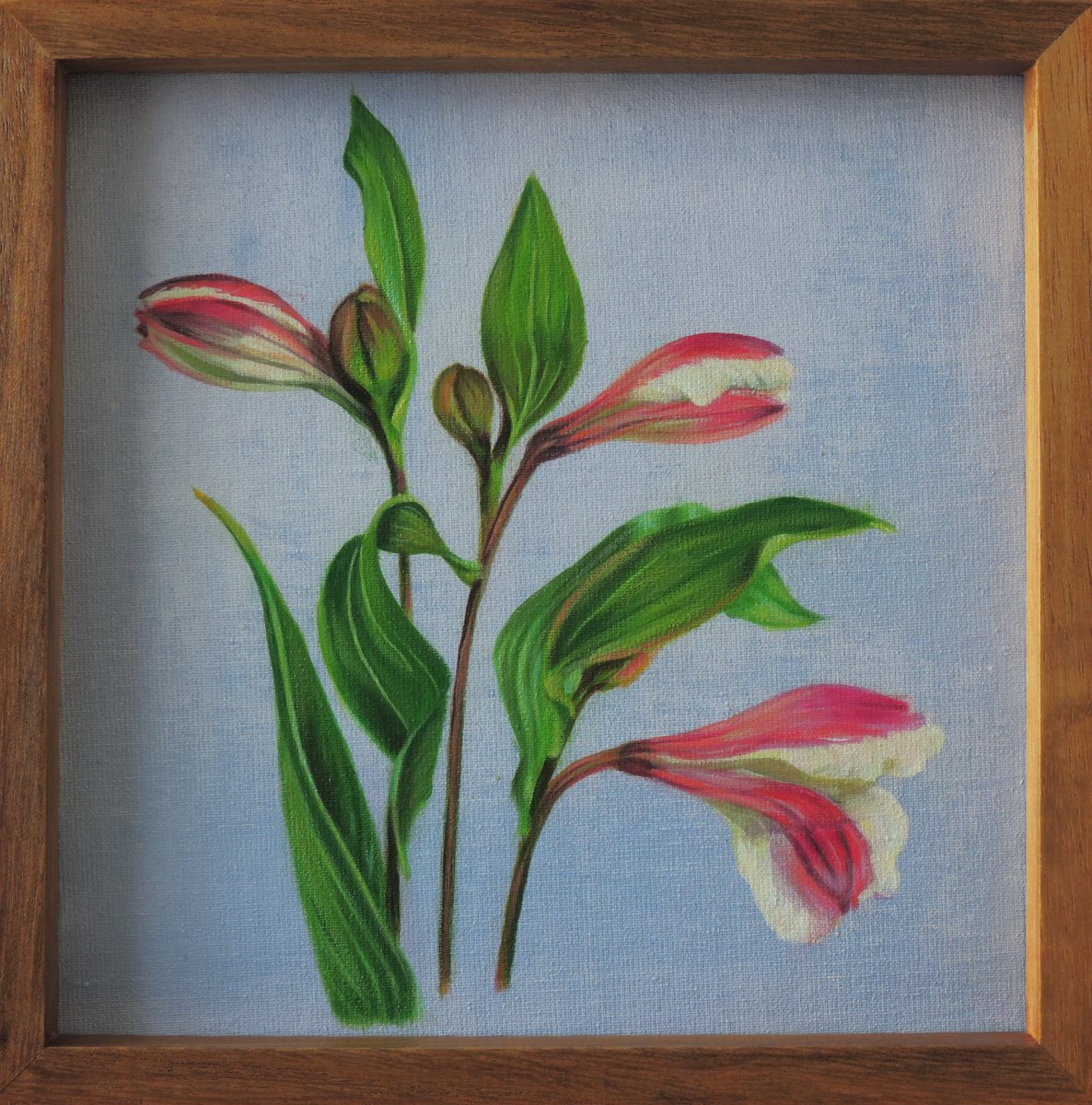 Photorealistic Botanical Acrylic Painting By Laura Cabral, 9 X 9", Adored, Original Artwork