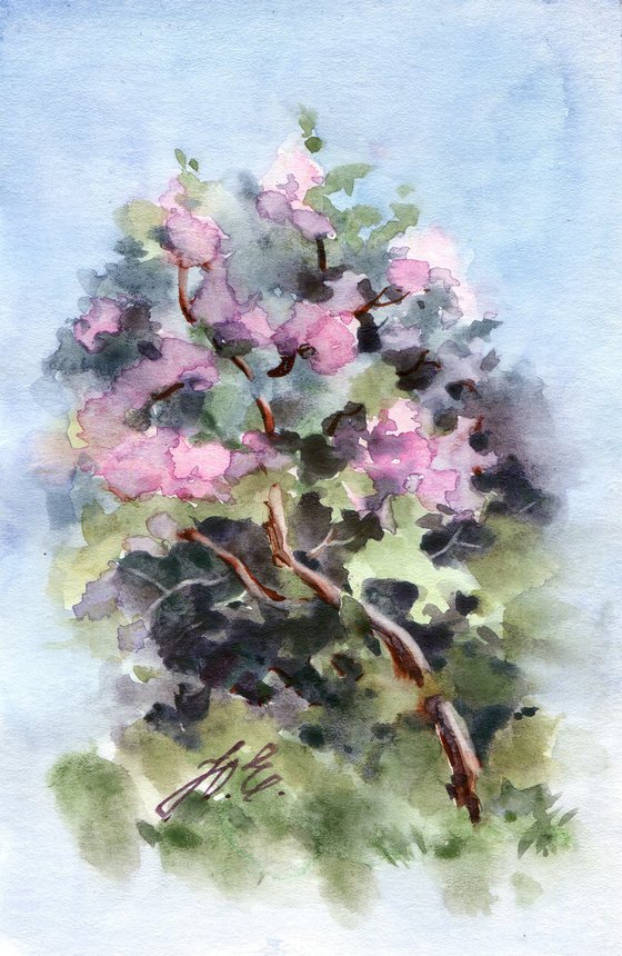 Spring lilac tree