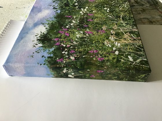 Summer Hedgerow