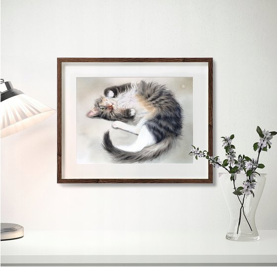 Complete Trust - sleeping cat