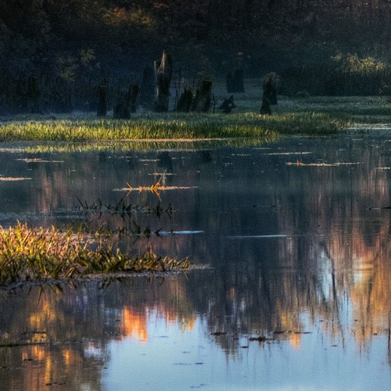 Panorama of autumn.