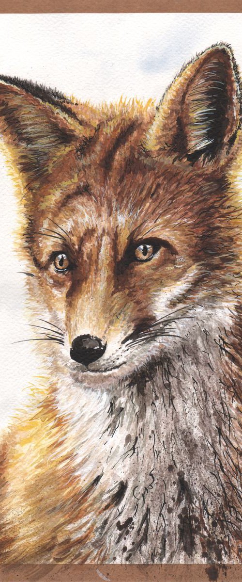 Young Mr Fox by Matt Buckett
