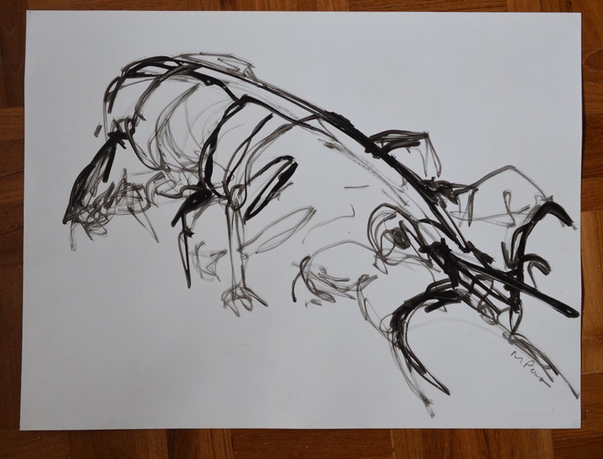 Lobster Gesture Drawing by Michelle Parsons