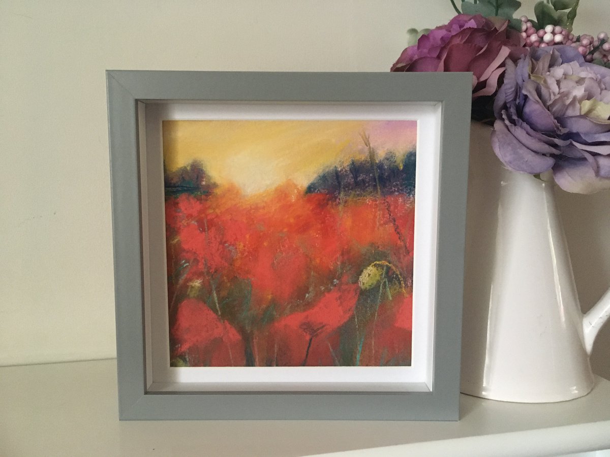 Sunset Poppies by Sarah Stowe