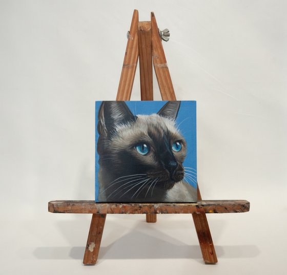 Sky Eyes