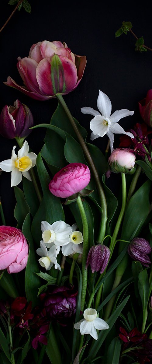 With Narcissus by Dianna Jazwinski