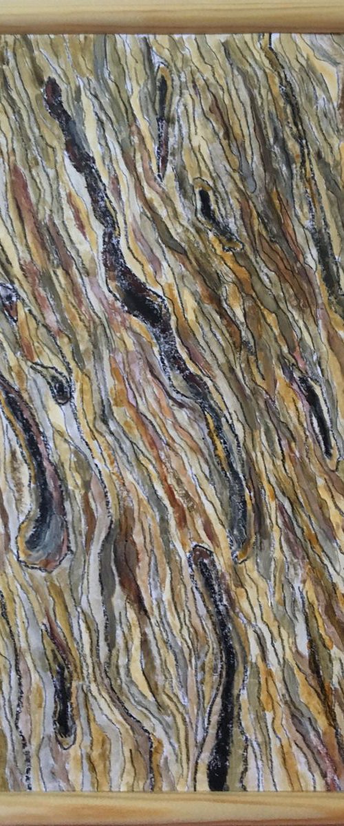 Abstract: bark II by Paola Consonni