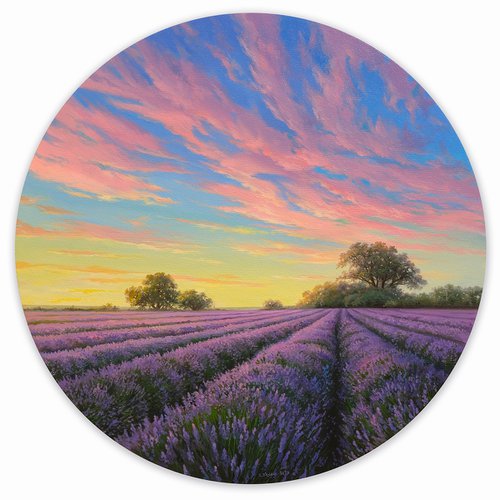 Lavender dreams by Eduard Zhaldak