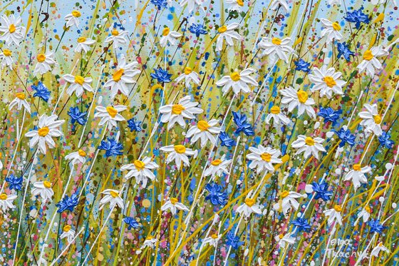 Daisies and Cornflowers II