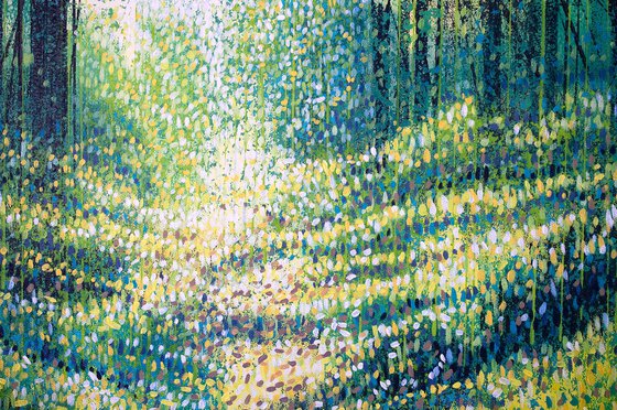 Summer Forest Path