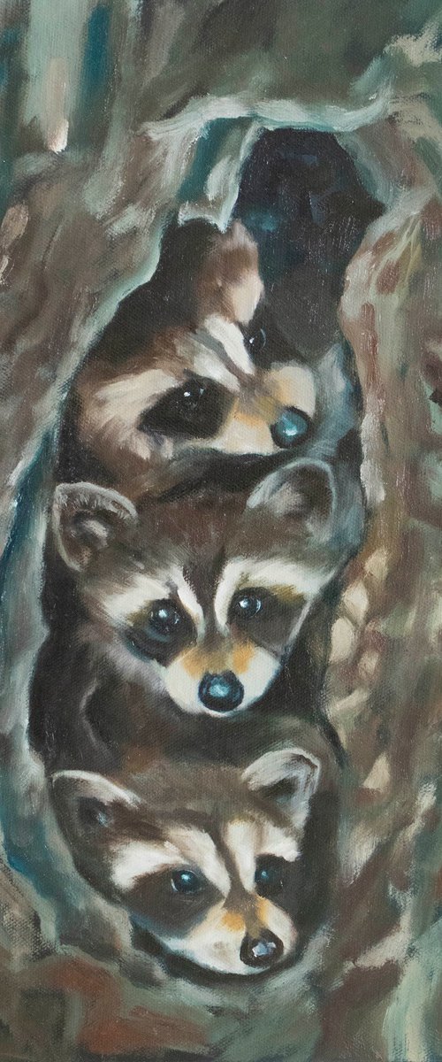 Raccoon by Eva Chen