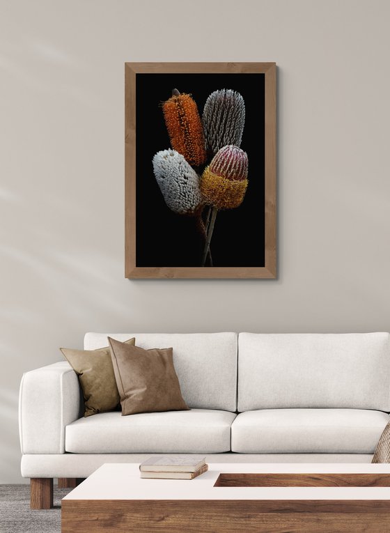 Banksia Bundle