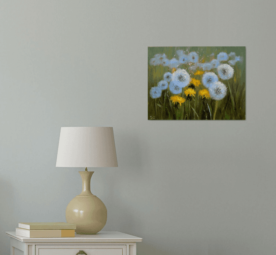 Delicate dandelions