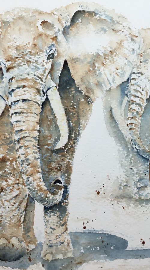 Elephants by Sabrina’s Art