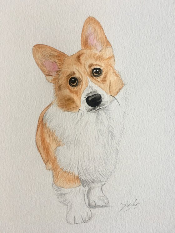 Corgi painting