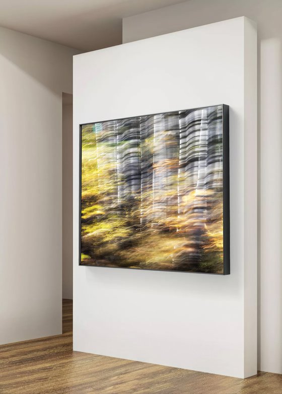 Birches (studio 9)