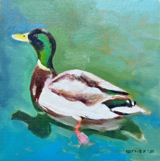 Paddling Duck