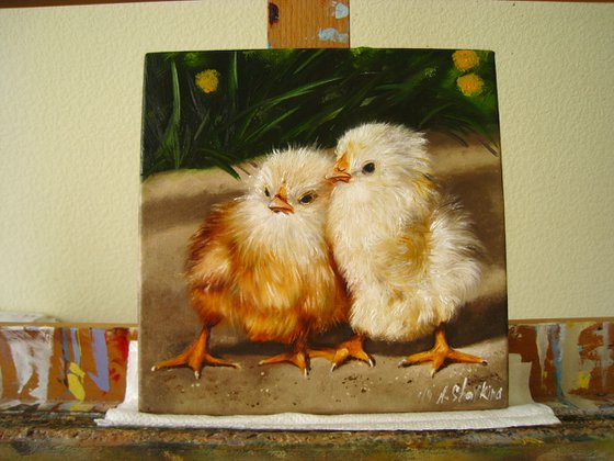 Two Fluffy Chicks