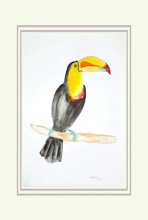 WATERCOLOR - BIRDS 9