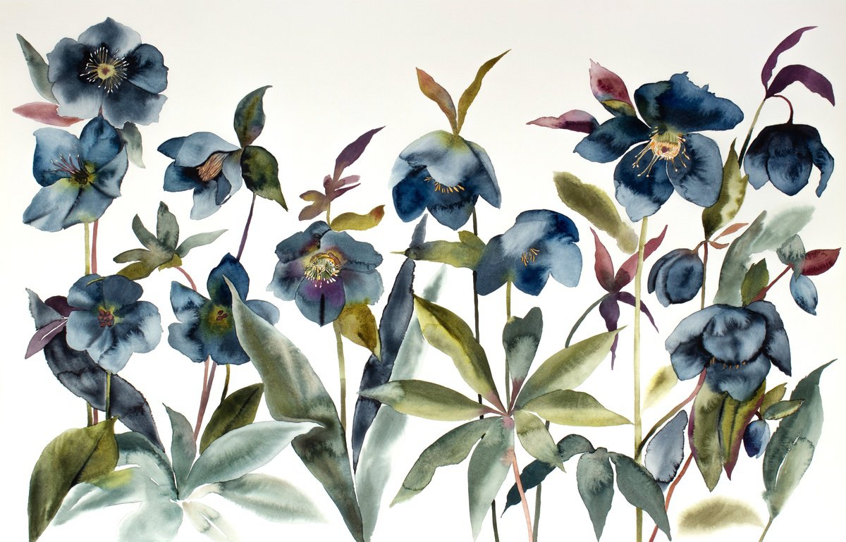 Expressive Botanical Watercolour By Elizabeth Becker, 40 X 26, Hellebores No. 2, Original Artwork
