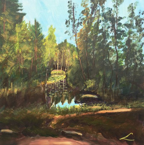Forest stream by Elena Sokolova