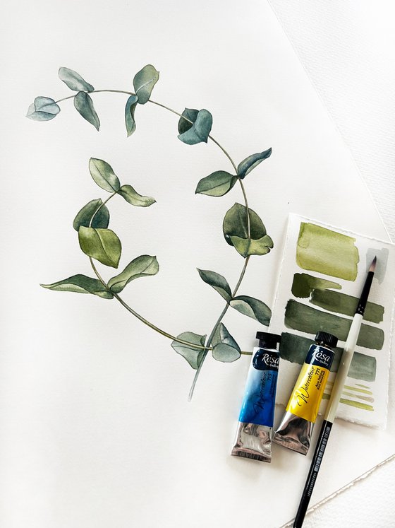 Two eucalyptus branches.