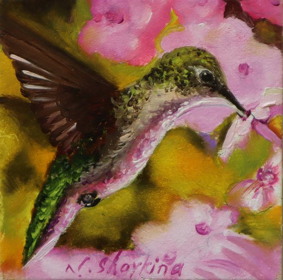 Hummingbird