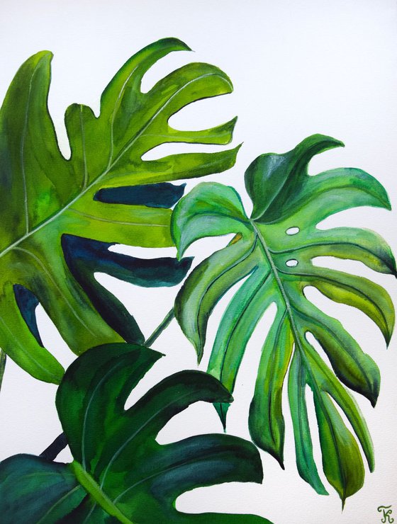 Monstera leaves original watercolor paintings, botanical abstract, tropical palm leaf