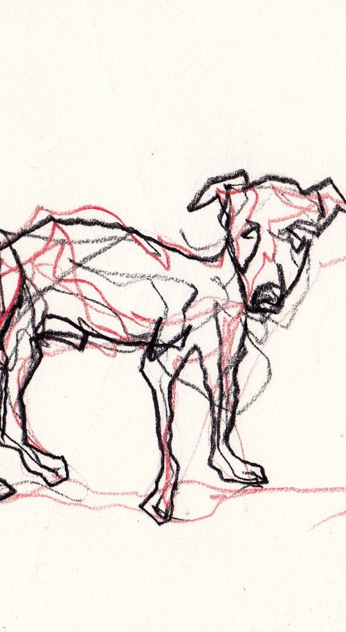 Dog by Lionel Le Jeune