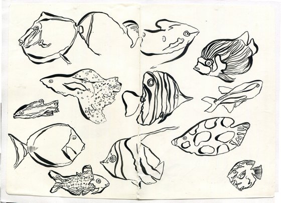 Collection of Fish