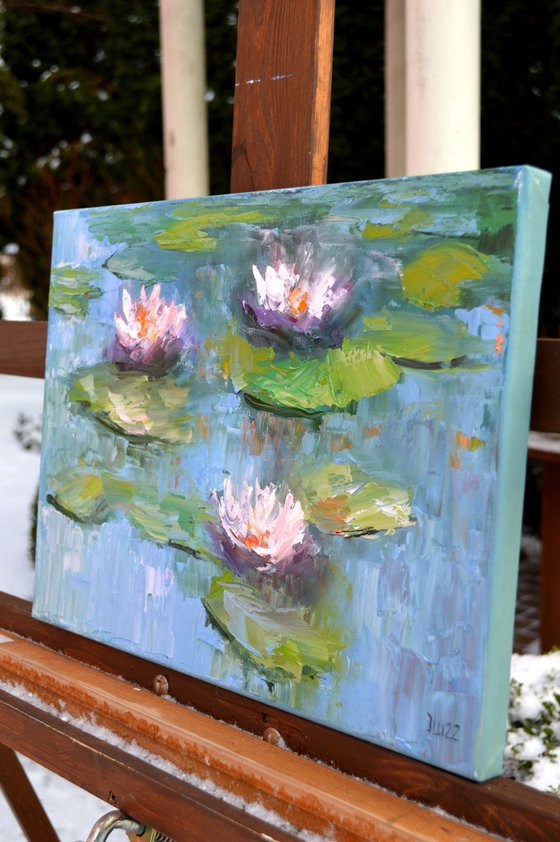 Water lilies