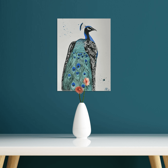 The peacock