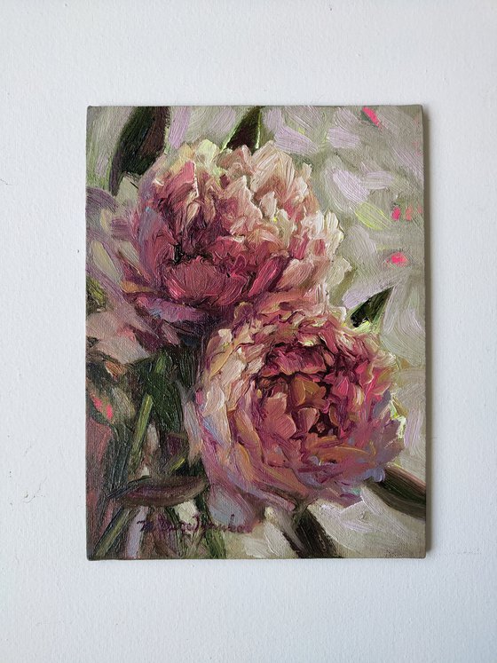 Pink purple peonies