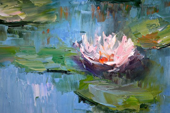 Water lilies