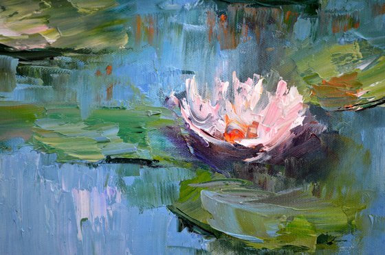 Water lilies