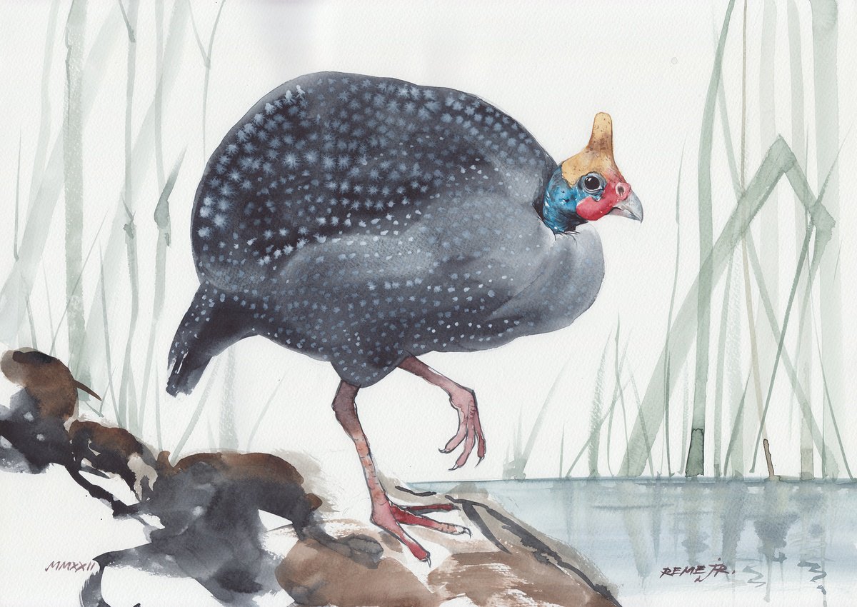 Expressive Animal Drawing By Reme Jr., 20 X 14", Helmeted Guinea Fowl, Original Artwork