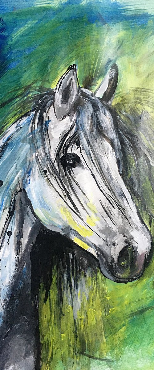 Portrait of a white horse sketch by René Goorman