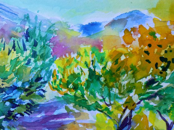 Olive grove No 4