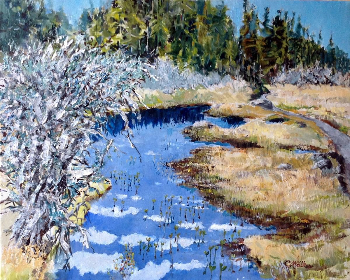 Landscape Oil Painting By Chris Walker, 20 X 16, Cape Breton Sky, French Mountain, Original Artwork