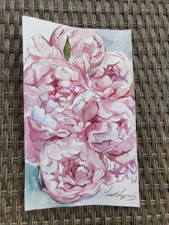 Peonies drawing on paper