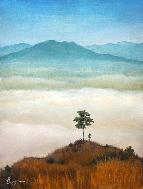 Lonely Pine Tree by Serge Shchegolkov