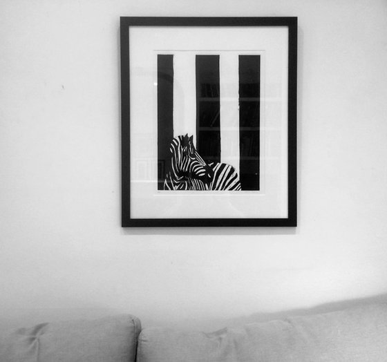 Zebra With Go Faster Stripes