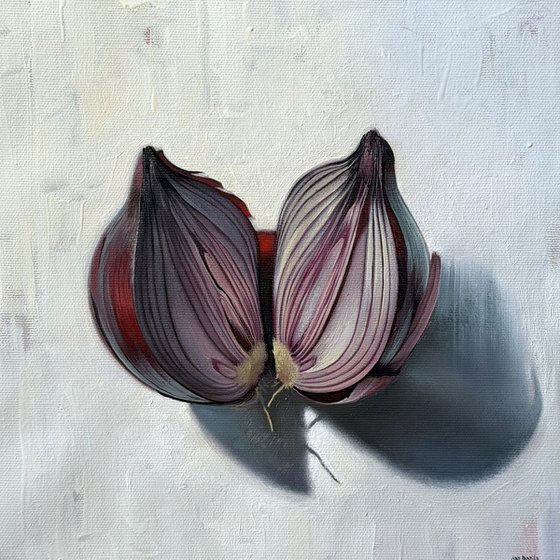Onion. Still life