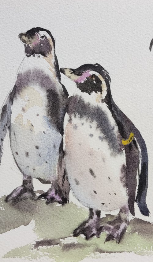 Penguins by Jing Chen