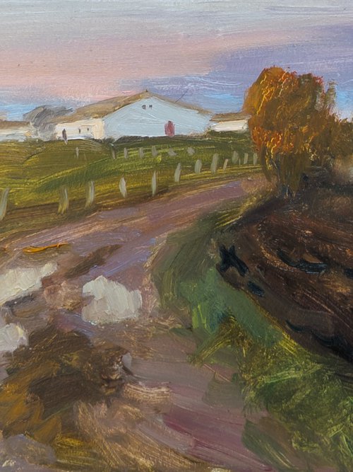 Countryside evening by Olga Samar