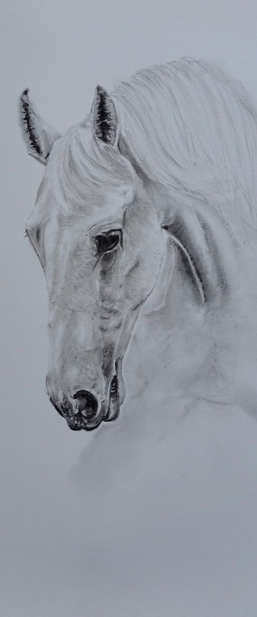 The White Horse by Mel Davies Original Art