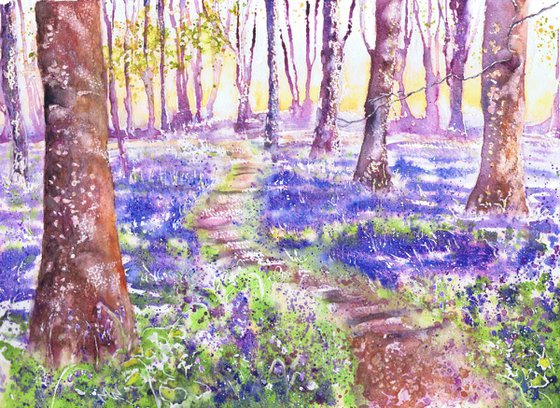 Bluebells at Badbury